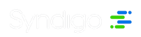 Syndigo_edited_edited.png